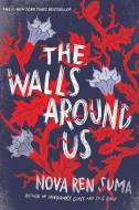 The Walls Around Us di Nova Ren Suma edito da Algonquin Young Readers