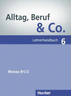 Alltag, Beruf & Co. edito da Max Hueber Verlag