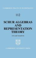 Schur Algebras and Representation Theory di Stuart Martin, Martin Stuart edito da Cambridge University Press