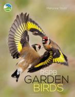Rspb Garden Birds di Marianne Taylor edito da BLOOMSBURY WILDLIFE