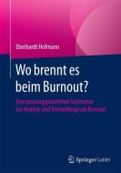 Wo brennt es beim Burnout? di Eberhardt Hofmann edito da Gabler, Betriebswirt.-Vlg