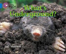 What's Underground di Gill Munton edito da HarperCollins Publishers