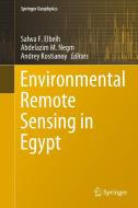 Environmental Remote Sensing in Egypt edito da Springer International Publishing