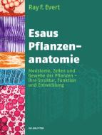 Esaus Pflanzenanatomie di Ray F. Evert edito da De Gruyter