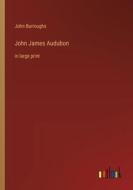 John James Audubon di John Burroughs edito da Outlook Verlag