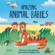 Look And Wonder Amazing Animal Bab di BARNHAM KAY edito da Hodder Wayland Childrens