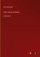John James Audubon di John Burroughs edito da Outlook Verlag