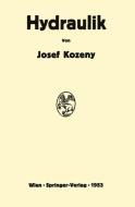 Hydraulik di Josef Kozeny edito da Springer-Verlag KG