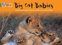 Big Cat Babies di Jonathan Scott, Angela Scott edito da HarperCollins Publishers
