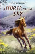 A Horse Named Sky di Rosanne Parry edito da GREENWILLOW