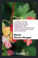 A Survey of the Platform of the Christian Church Exhibited in the Scriptures, Applied to Its Actual Circumstances and Co di Hector Davies Morgan edito da Trieste Publishing