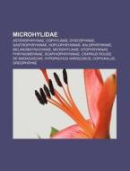 Microhylidae: Gastrophrynoides Borneensi di Livres Groupe edito da Books LLC, Wiki Series