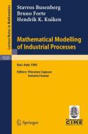 Mathematical Modelling of Industrial Processes di Stavros Busenberg, Bruno Forte, Hendrik K. Kuiken edito da Springer Berlin Heidelberg
