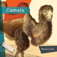Camels di Melissa Gish edito da CREATIVE EDUCATION
