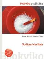 Sodium Bisulfate edito da Book On Demand Ltd.