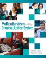Multiculturalism and the Criminal Justice System di Michael D. Gomila, Robert D. Hanser edito da Pearson Education (US)