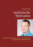 Intrinsische Motivation di Marcel Bruder edito da Books on Demand