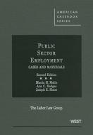 Public Sector Employment di Joseph Slater, Ann Hodges, Martin B. Malin edito da West Academic
