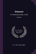 Delaware: Or, the Ruined Family; A Tale; Volume 2 di George Payne Rainsford James edito da CHIZINE PUBN