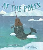 At the Poles di David Elliott edito da CANDLEWICK BOOKS