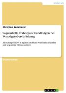Sequentielle verborgene Handlungen bei Vermögensbeschränkung di Christian Summerer edito da GRIN Verlag