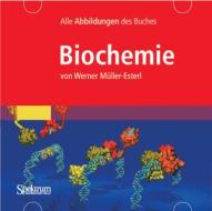 Bild-CD-ROM, Biochemie: Alle Grafiken Des Buches di Werner Muller-Esterl edito da Springer