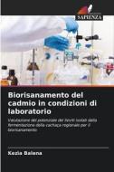 Biorisanamento del cadmio in condizioni di laboratorio di Kezia Balena edito da Edizioni Sapienza