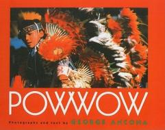 Powwow edito da PERFECTION LEARNING CORP