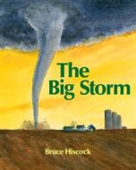 The Big Storm di Bruce Hiscock edito da Boyds Mills Press