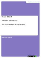 Proteine im Phloem di Daniel Dittrich edito da GRIN Publishing