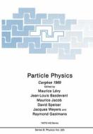 Particle Physics: Cargèse 1989 edito da SPRINGER NATURE