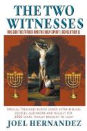 The Two Witnesses are God the Father and The Holy Spirit - Revelation 11: Biblical Treasures Buried Under Extra-Biblical di Joel Hernandez edito da COVENANT BOOKS