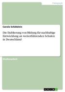 Die Etablierung von Bildung für nachhaltige Entwicklung an weiterführenden Schulen in Deutschland di Carola Schätzlein edito da GRIN Verlag