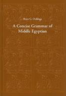 A Concise Grammar of Middle Egyptian: An Outline of Middle Egyptian Grammar di Boyo G. Ockinga edito da Philipp Von Zabern