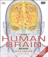 The Human Brain Book di Rita Carter edito da DK Publishing (Dorling Kindersley)