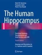The Human Hippocampus di Henri M. Duvernoy, Francoise Cattin, Pierre-Yves Risold edito da Springer-Verlag GmbH