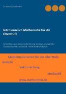Jetzt lerne ich Mathematik für die Oberstufe di Marco Schuchmann edito da Books on Demand