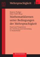 Mathematiklernen unter Bedingungen der Mehrsprachigkeit di Susanne Prediger, Erkan Özdil edito da Waxmann Verlag