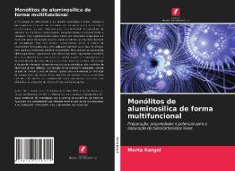 Monólitos de aluminosilica de forma multifuncional di Marta Kargol edito da Edições Nosso Conhecimento
