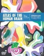 Atlas Of The Human Brain di Juergen K. Mai, George Paxinos, Thomas Voss edito da Elsevier Science Publishing Co Inc