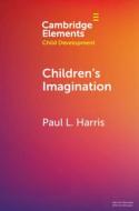 Children's Imagination di Paul L. Harris edito da Cambridge University Press