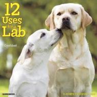 12 Uses for a Lab edito da Willow Creek Press