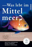 Was lebt im Mittelmeer? di Matthias Bergbauer, Bernd Humberg edito da Franckh-Kosmos