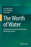 The Worth of Water di Liam McCarton, Anna Reid, Sean O'Hogain edito da Springer International Publishing