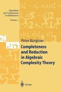 Completeness and Reduction in Algebraic Complexity Theory di Peter Bürgisser edito da Springer Berlin Heidelberg