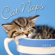 Cat Naps M Calendar 2015 di WIRESTITCHED edito da Carousel Calendars/vista Print