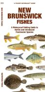 New Brunswick Fishes: A Waterproof Folding Guide to Familiar Species di Waterford Press, Matthew Morris edito da WATERFORD PR