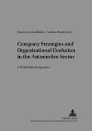 Company Strategies and Organisational Evolution in the Automotive Sector: A Worldwide Perspective edito da Lang, Peter GmbH