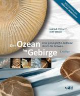 Der Ozean im Gebirge di Helmut Weissert, Iwan Stössel edito da Vdf Hochschulverlag AG
