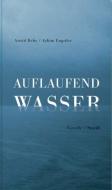 Auflaufend Wasser di Astrid Dehe, Achim Engstler edito da Steidl Gerhard Verlag